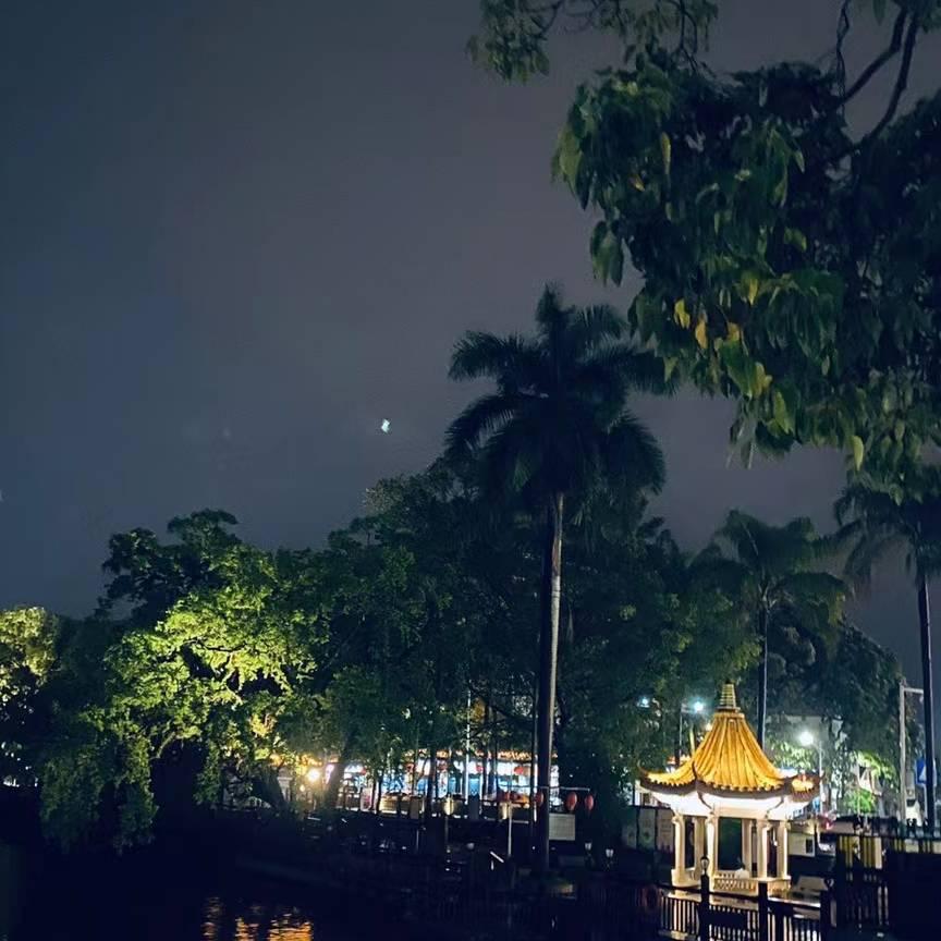 回忆在搜索的那个✔她