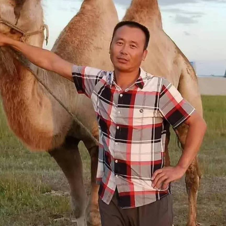 任宝财牛马驴羊中介