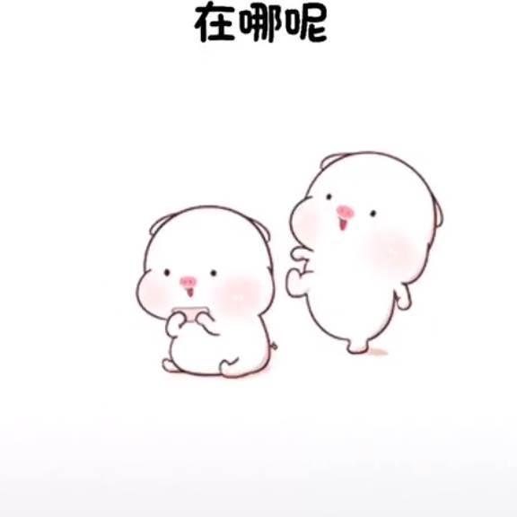 来自广东省湛江市小郑