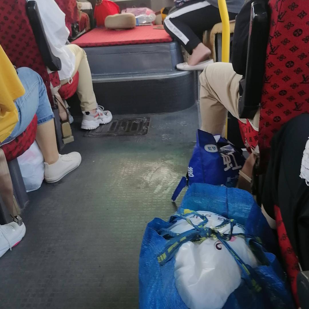 小九爱喝茶999