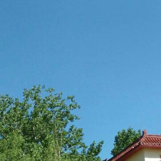 🎤🎤淡定从容🎤🎤