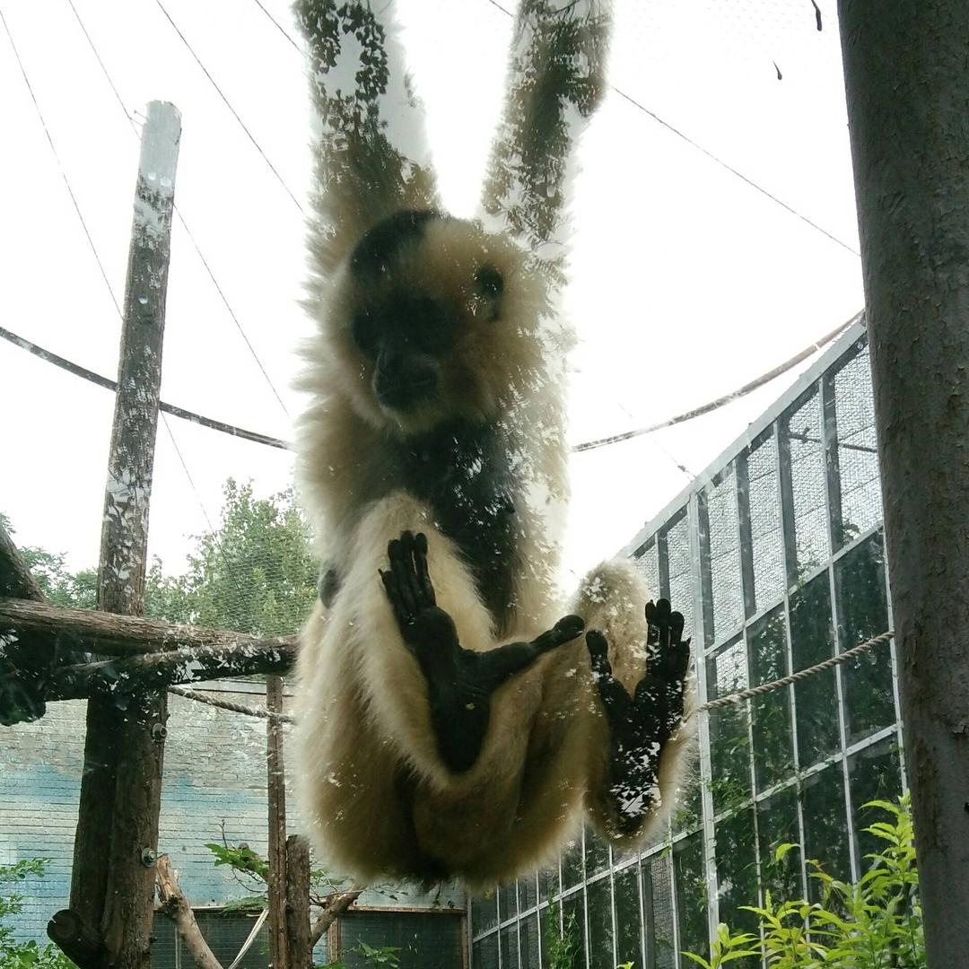 有命就有钱平安就是福