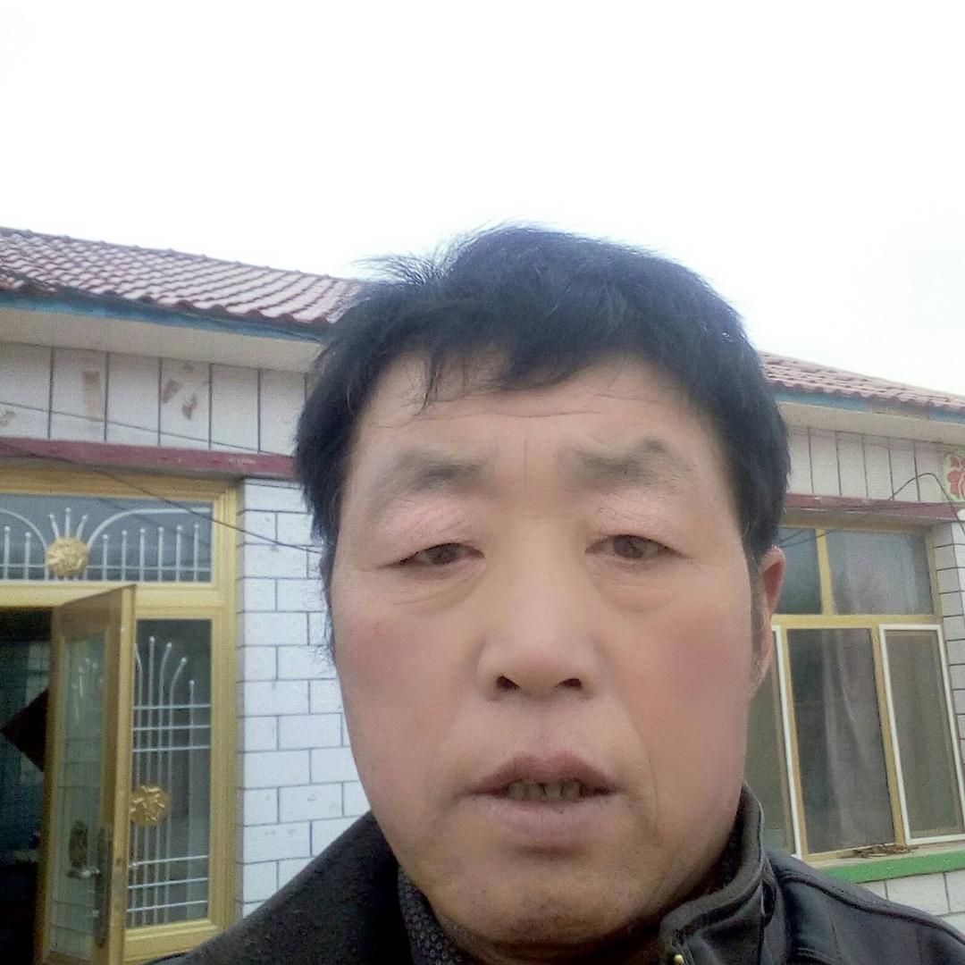 好运来80373