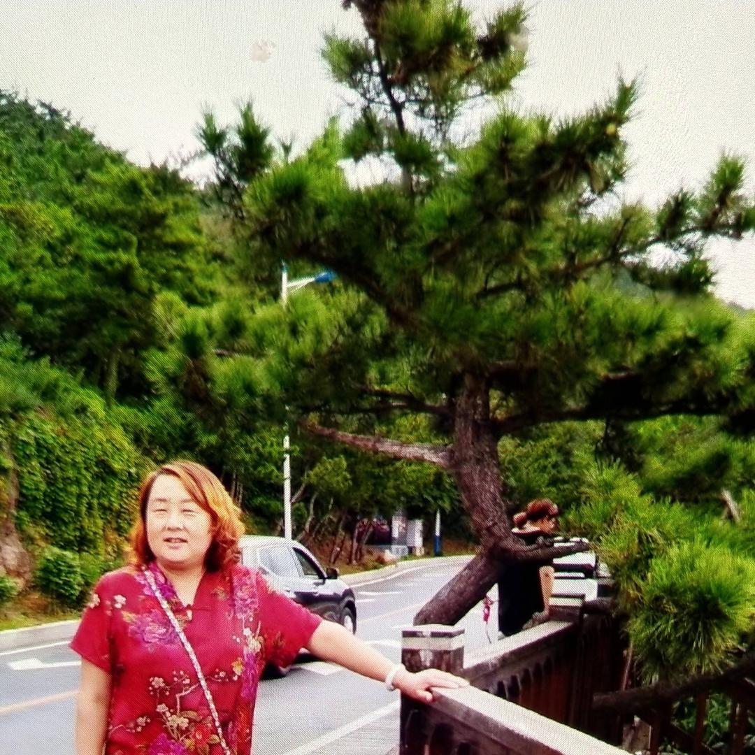 婆婆认怂