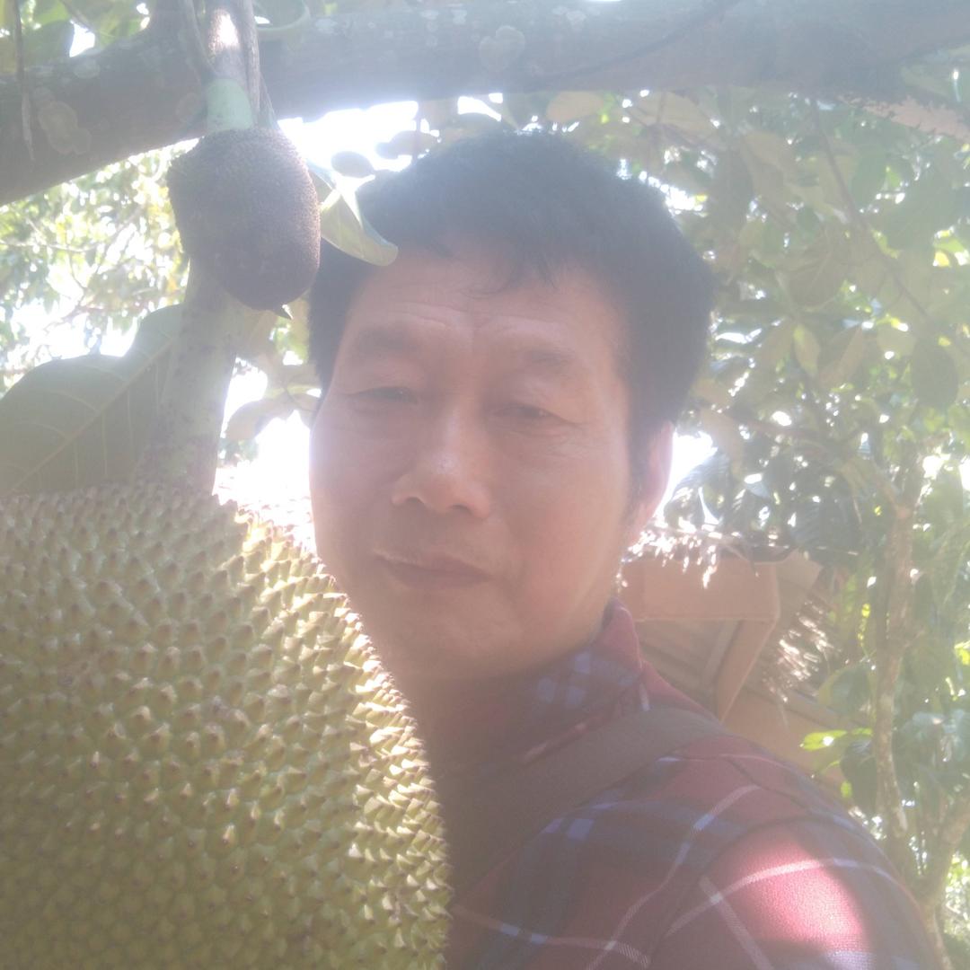 风云17016236头像