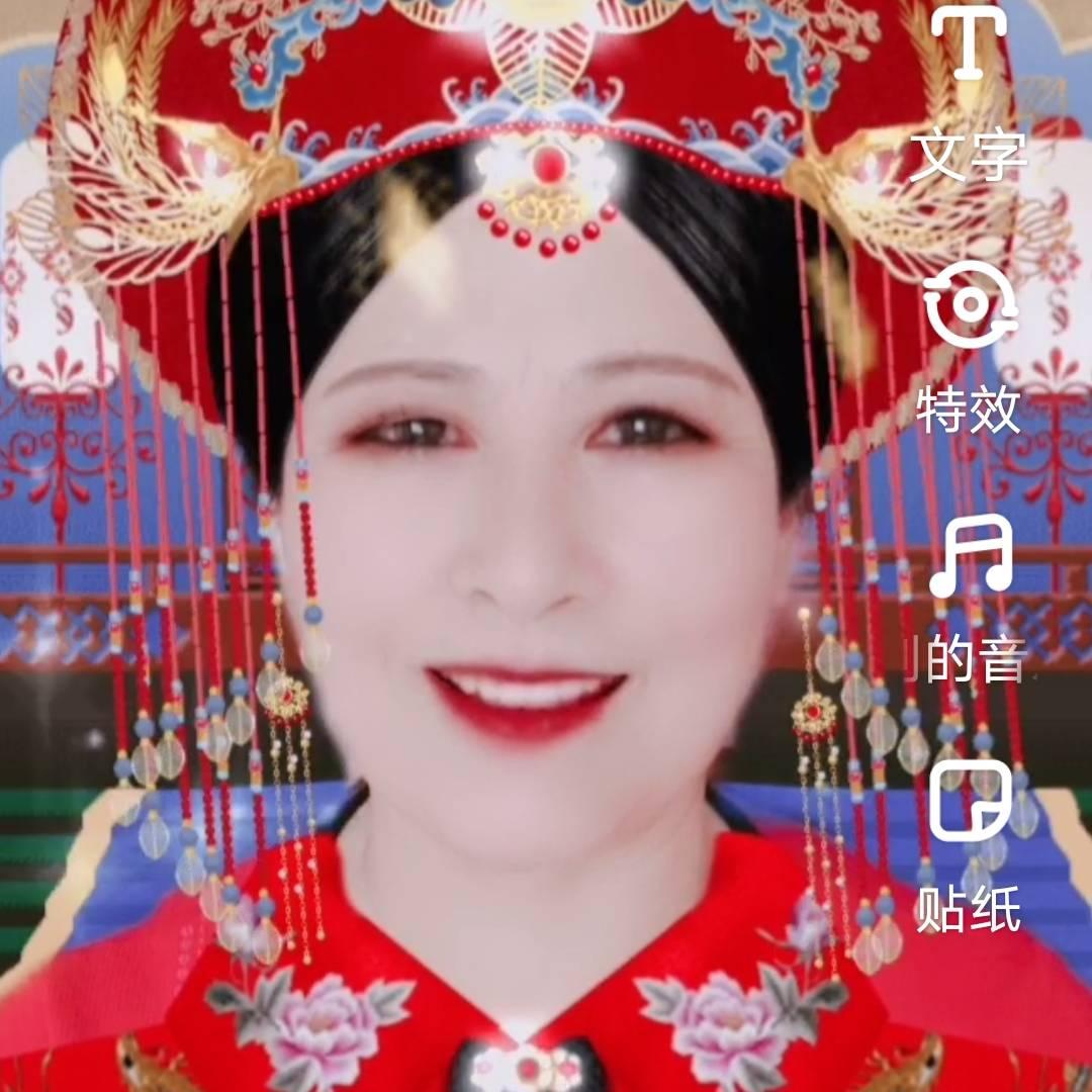 高琴26