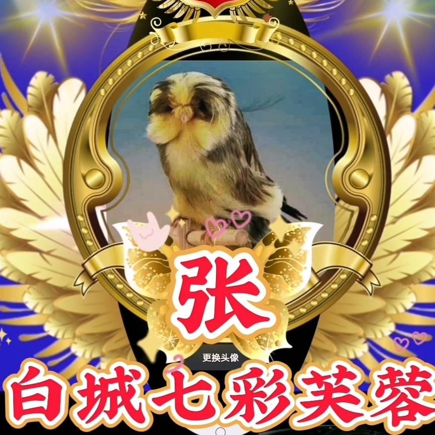白城七彩芙蓉