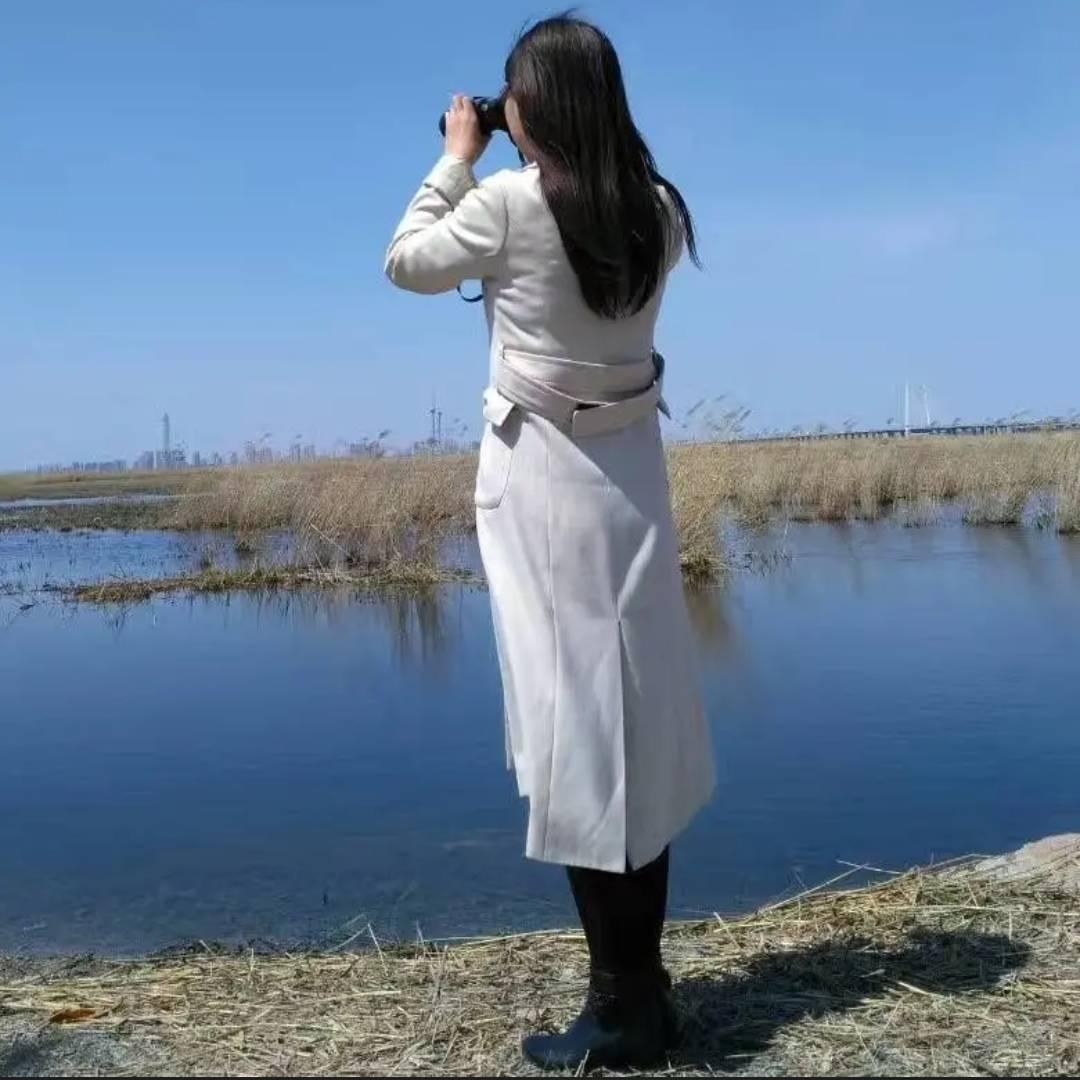 枫叶漫山秋