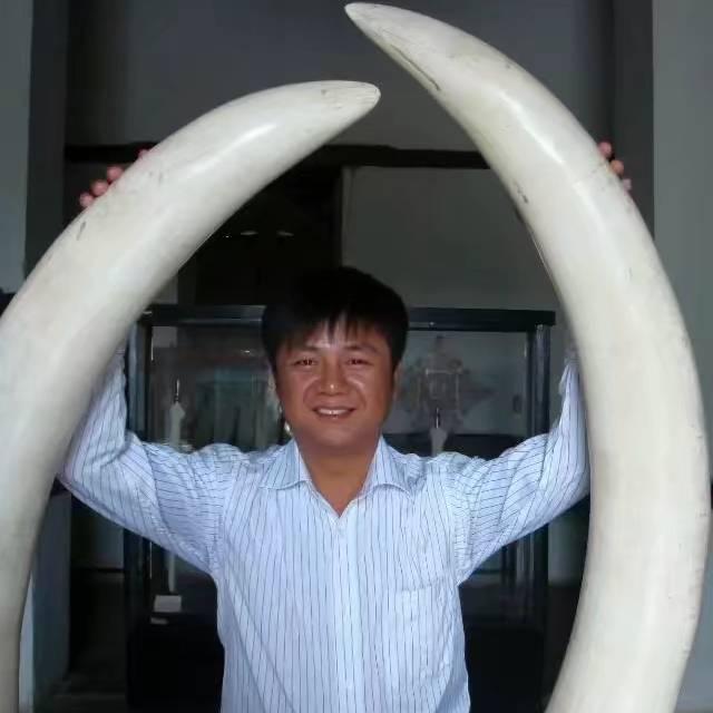 .发哥1