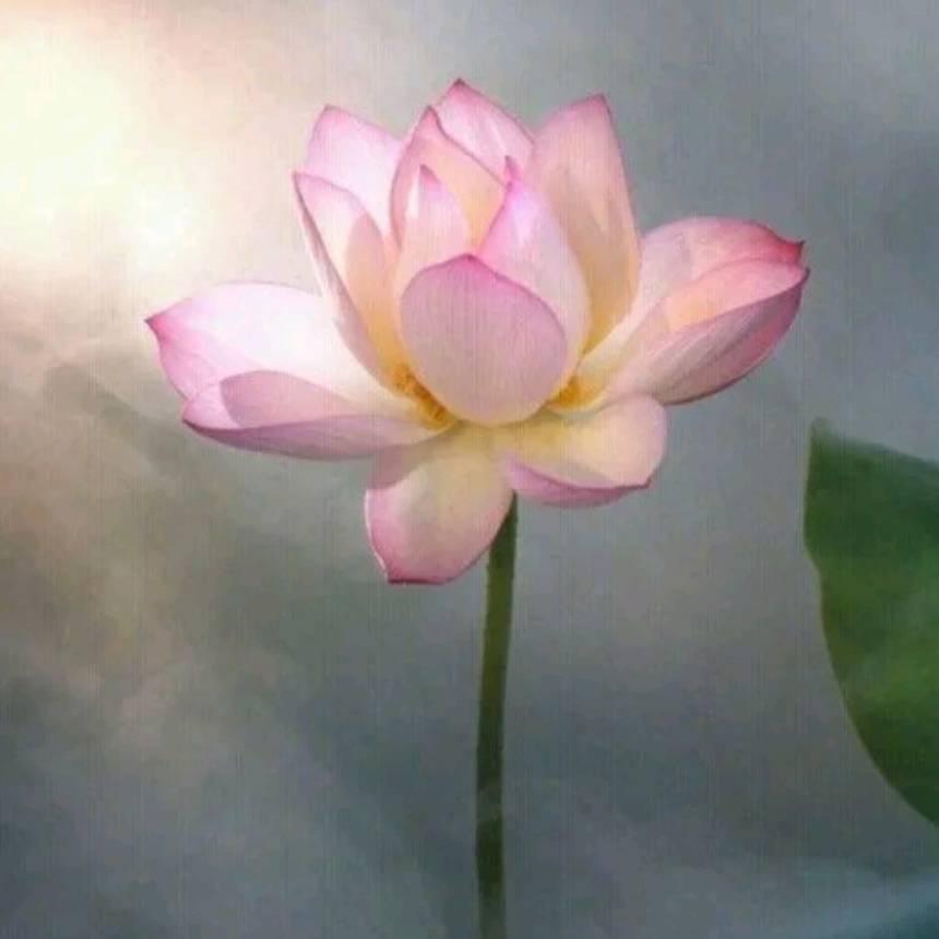 心若无恨应开心