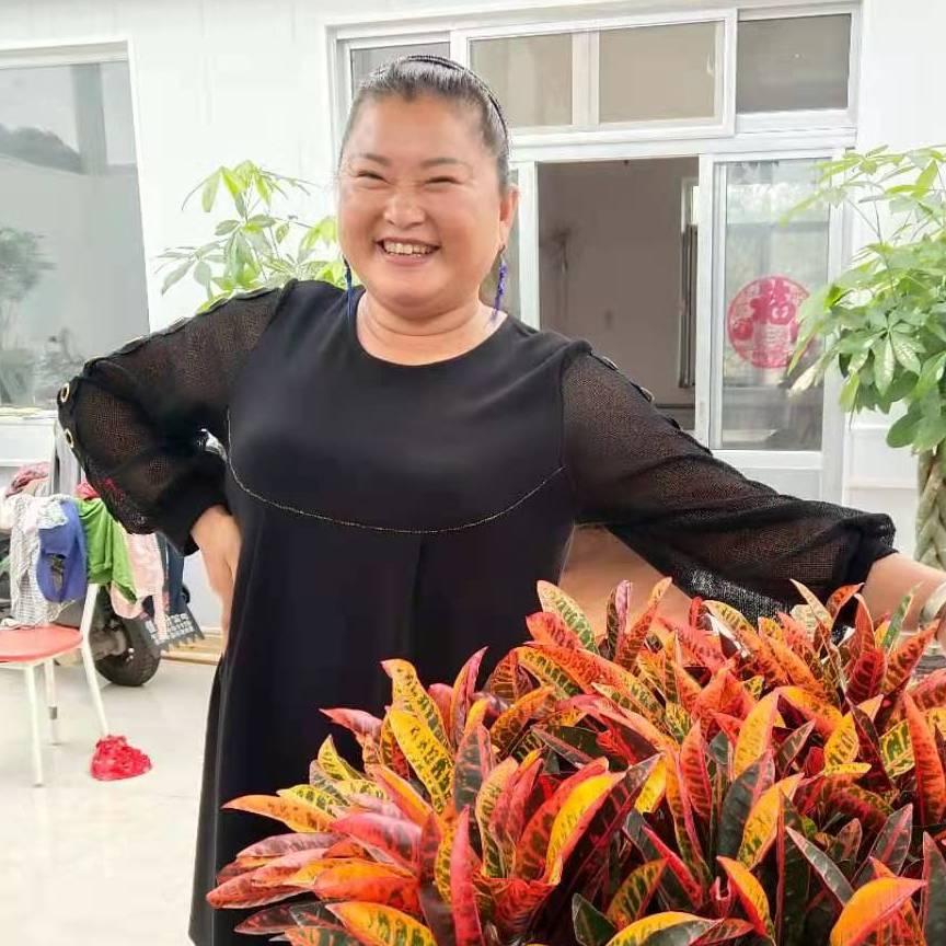 忘川彼岸之小女人