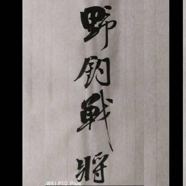 野钓战将