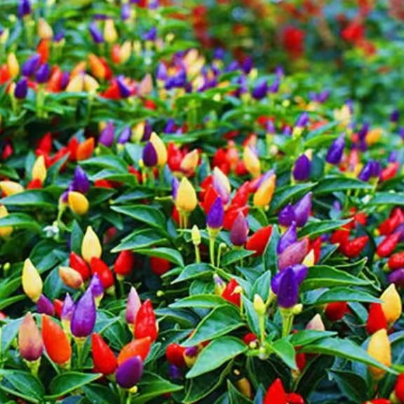 好好爱自己。888