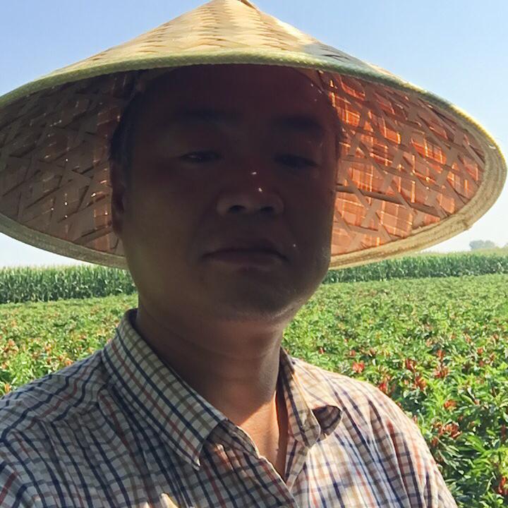 张癫疯