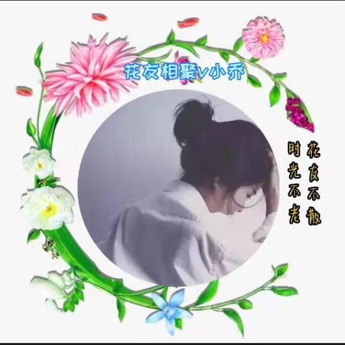 ～～小乔＄花友相聚