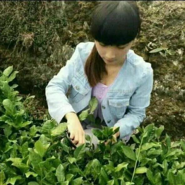 小小阿妹