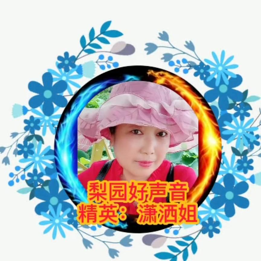 梨园好声音萧洒姐