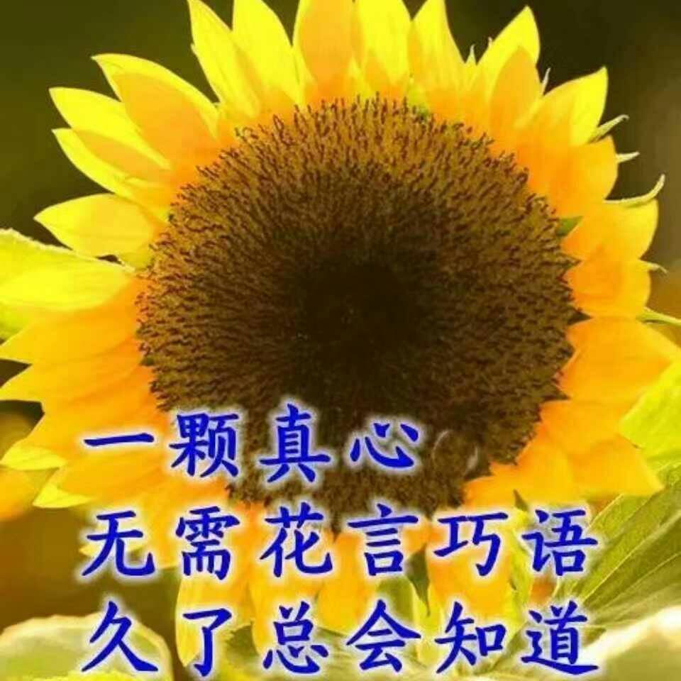 用户15512108