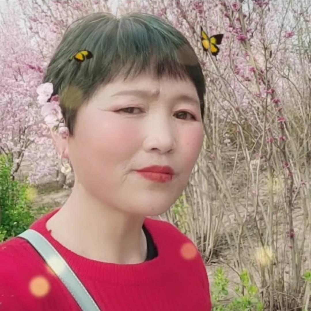 莲姐
