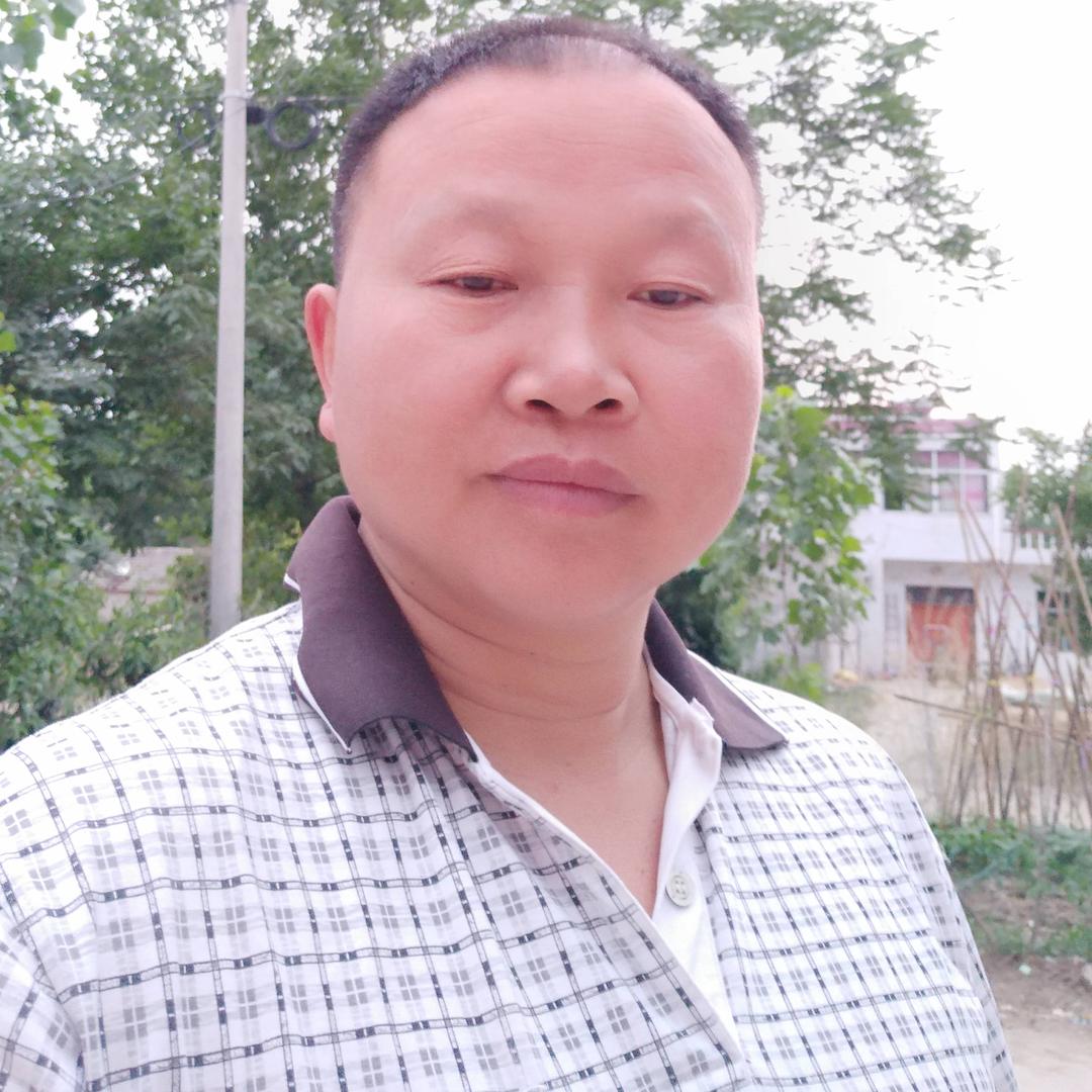 轻风云淡8642