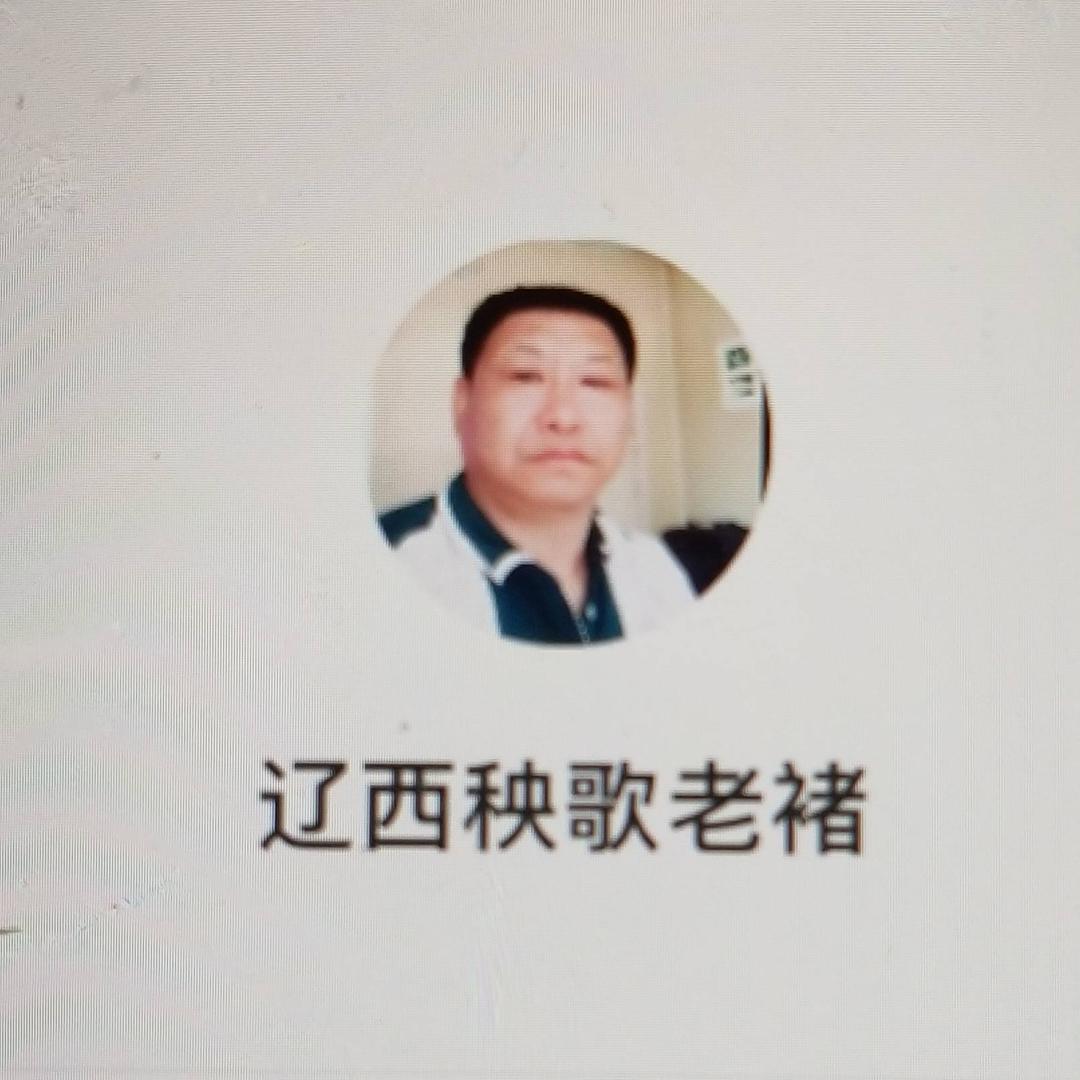 🌴辽西秧歌老褚🌴