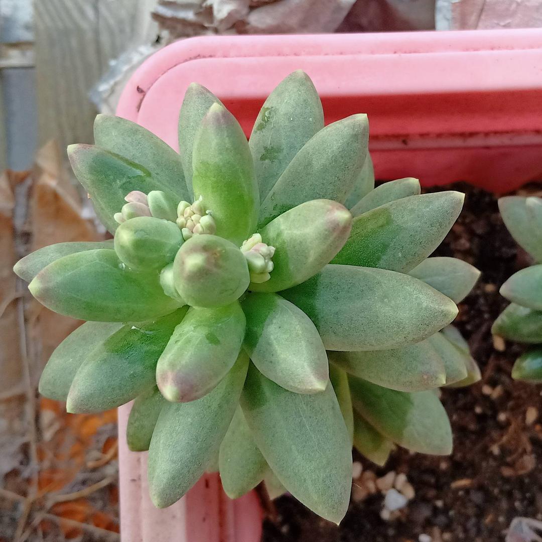晴天