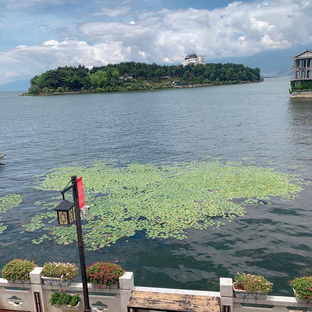 💞🐝蜂而王🐝💞