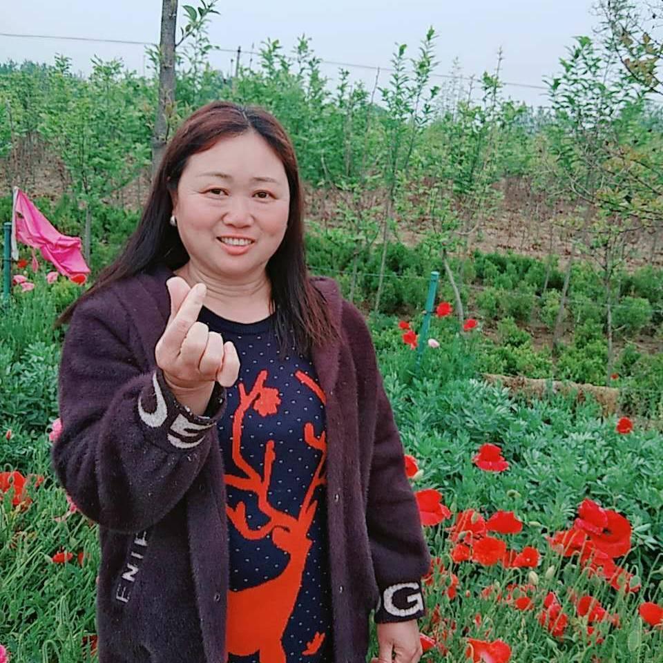 李李李二姐