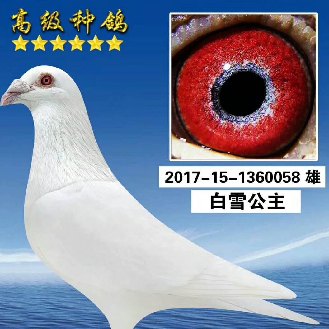 九品翔冠