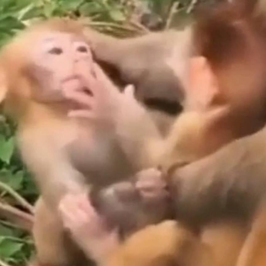鑫宇