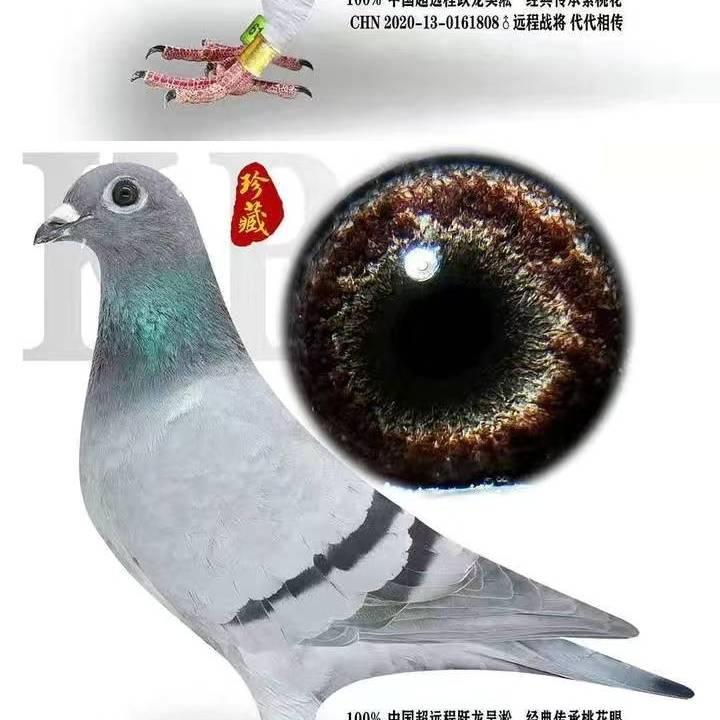 慈善一生