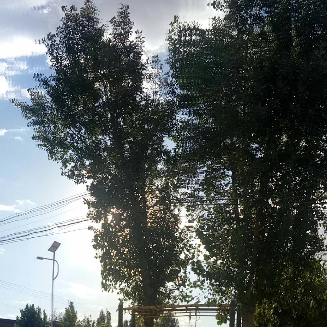 面朝大海，春暖花开！