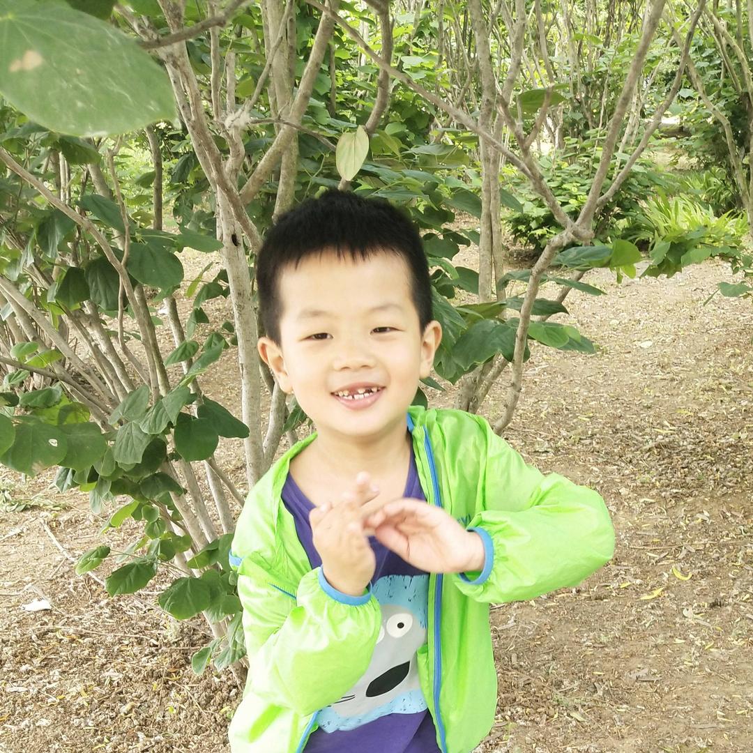 我是李宝宝