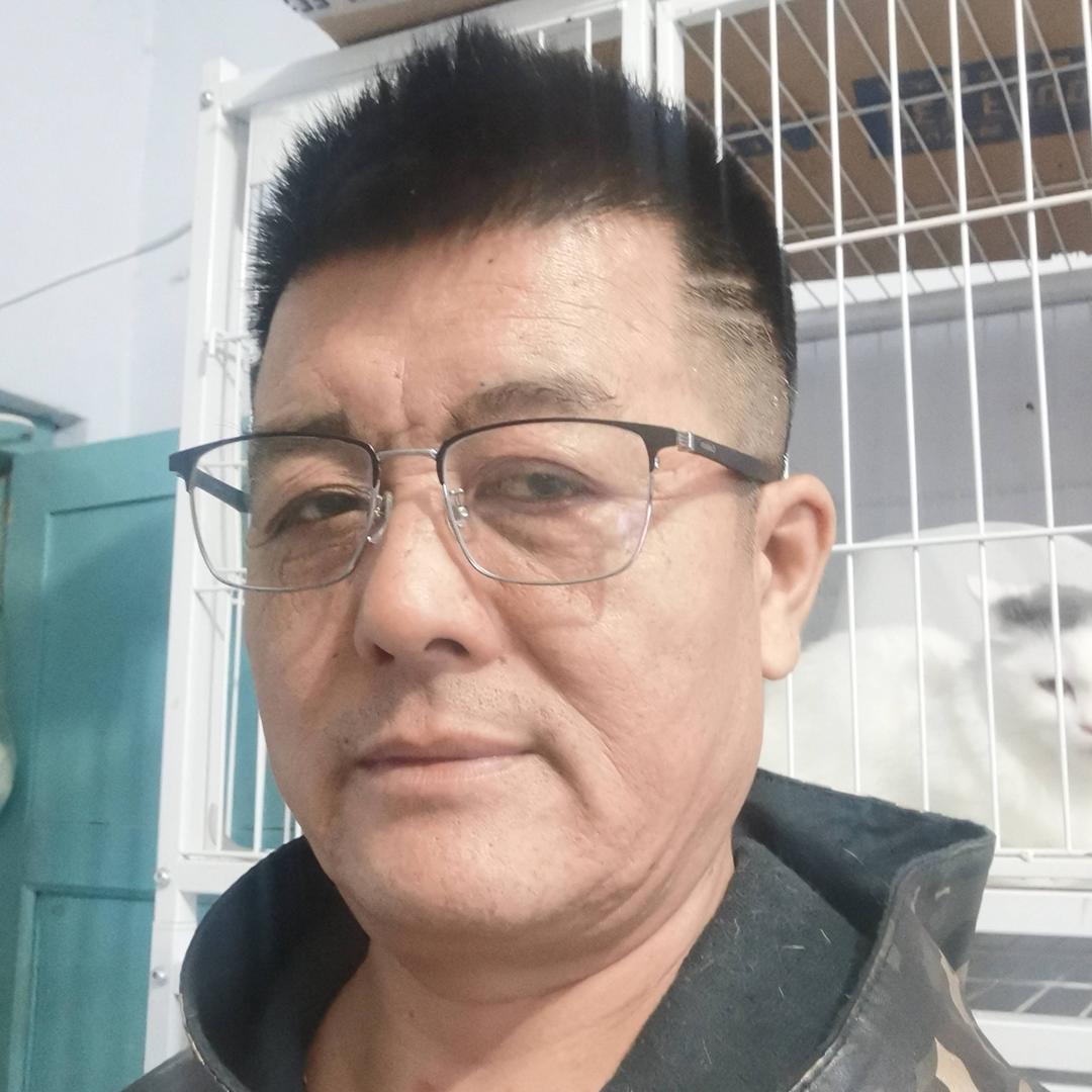 鞍山猫王 生哥8513