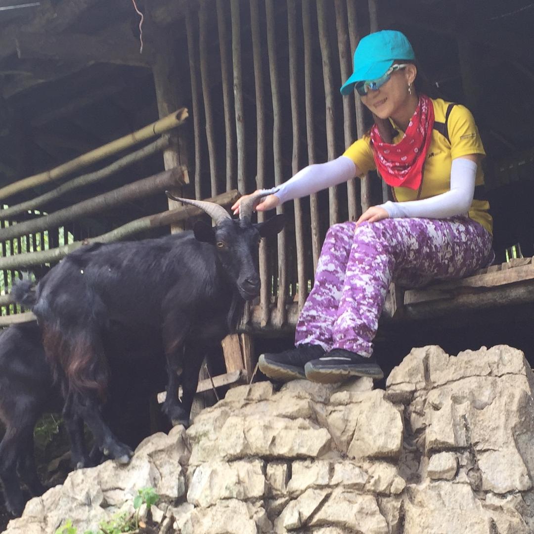 养牛羊的玲🐮🐐