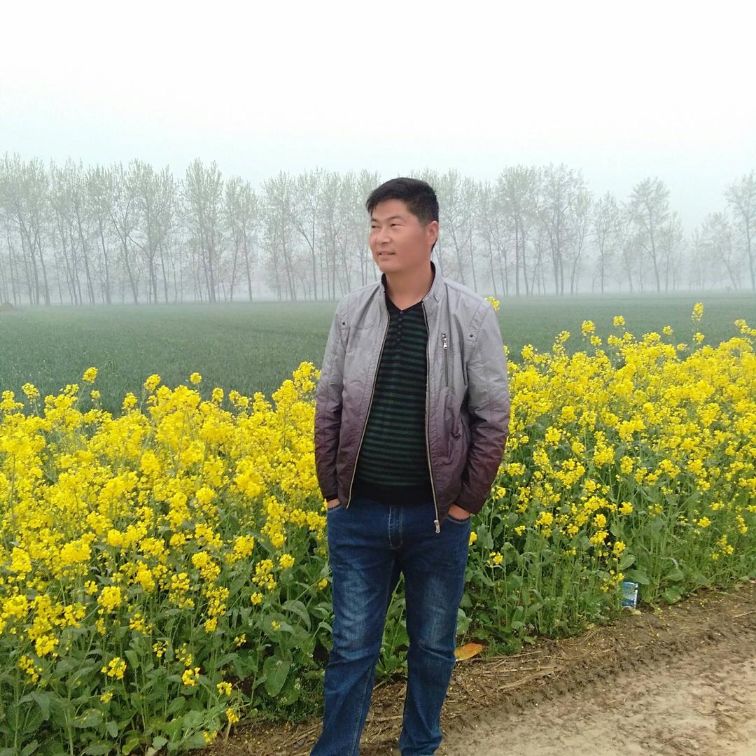 一只温柔的，狼