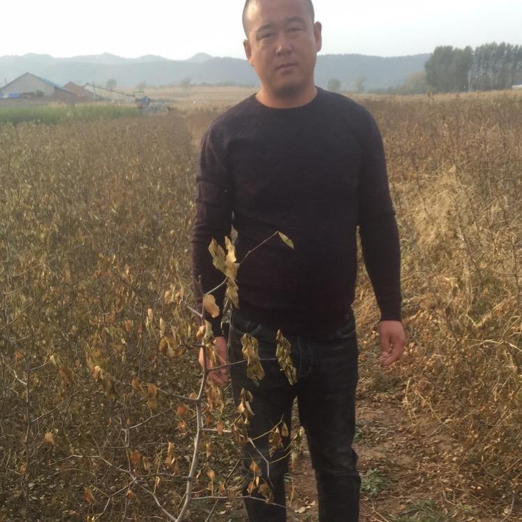 廷雷苗圃