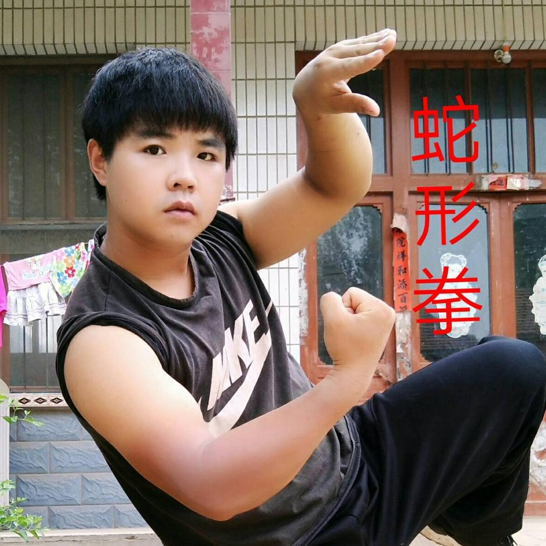 功夫小卫（日常）