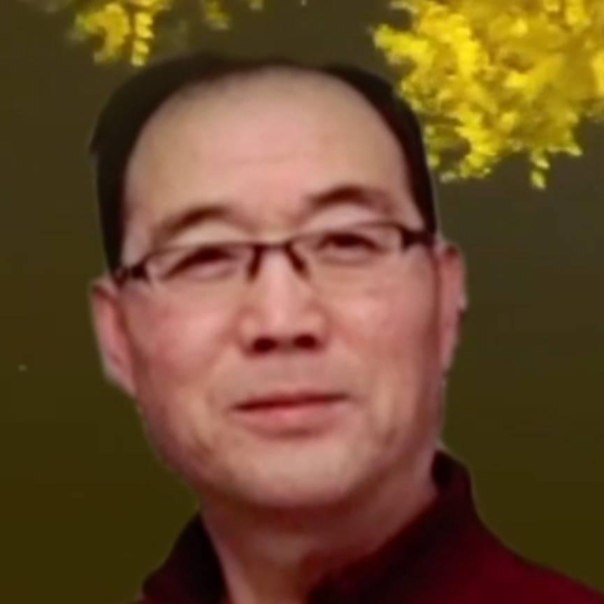 杨柳(书画家)