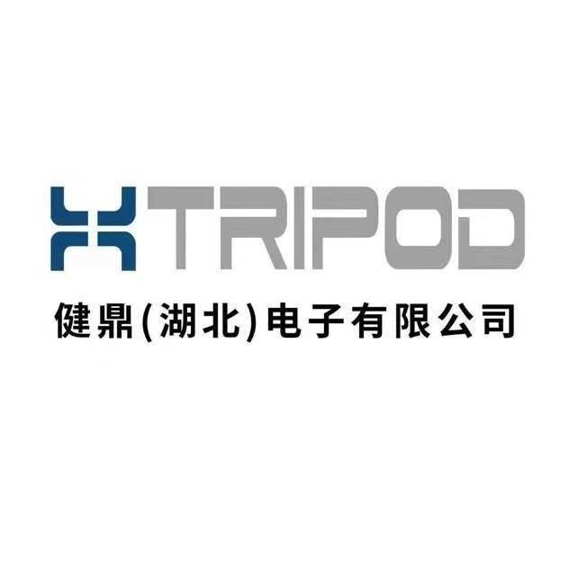 健鼎（湖北）电子