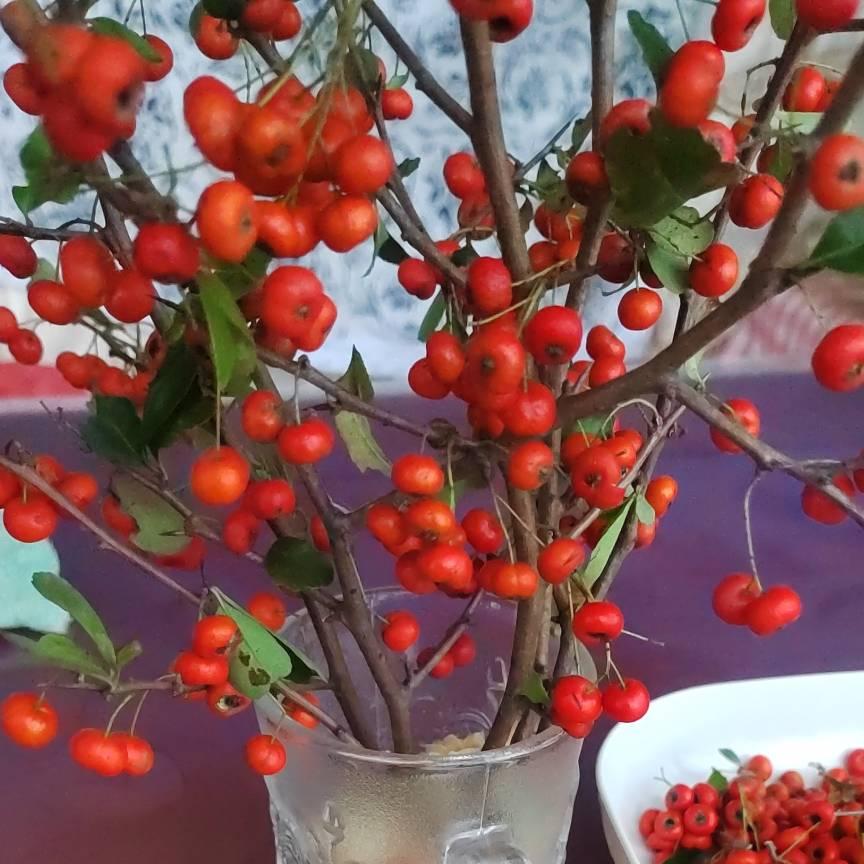 ☔️雨后天空🌈
