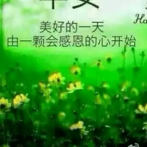 远嫁💞城市