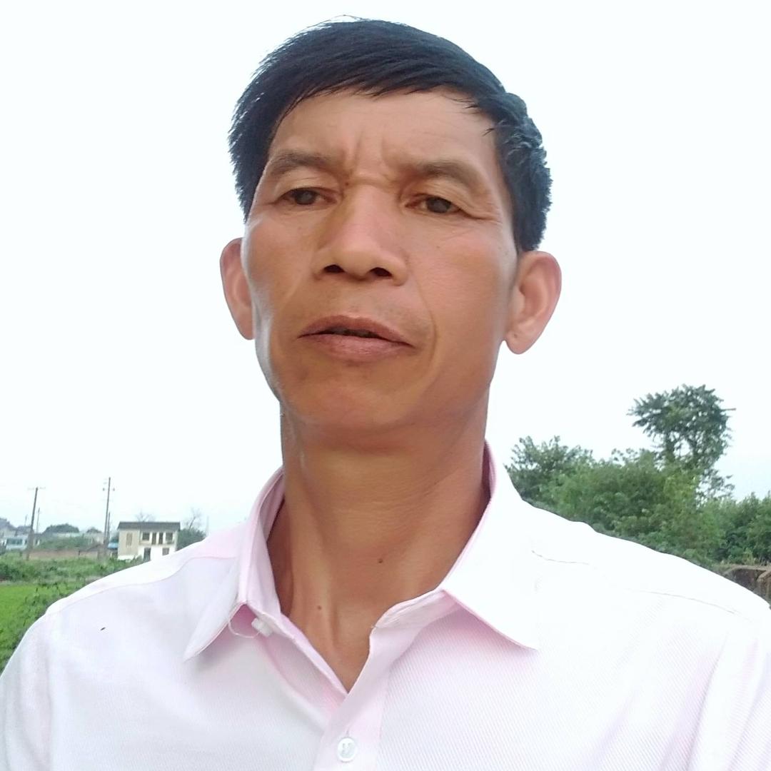 老检直播
