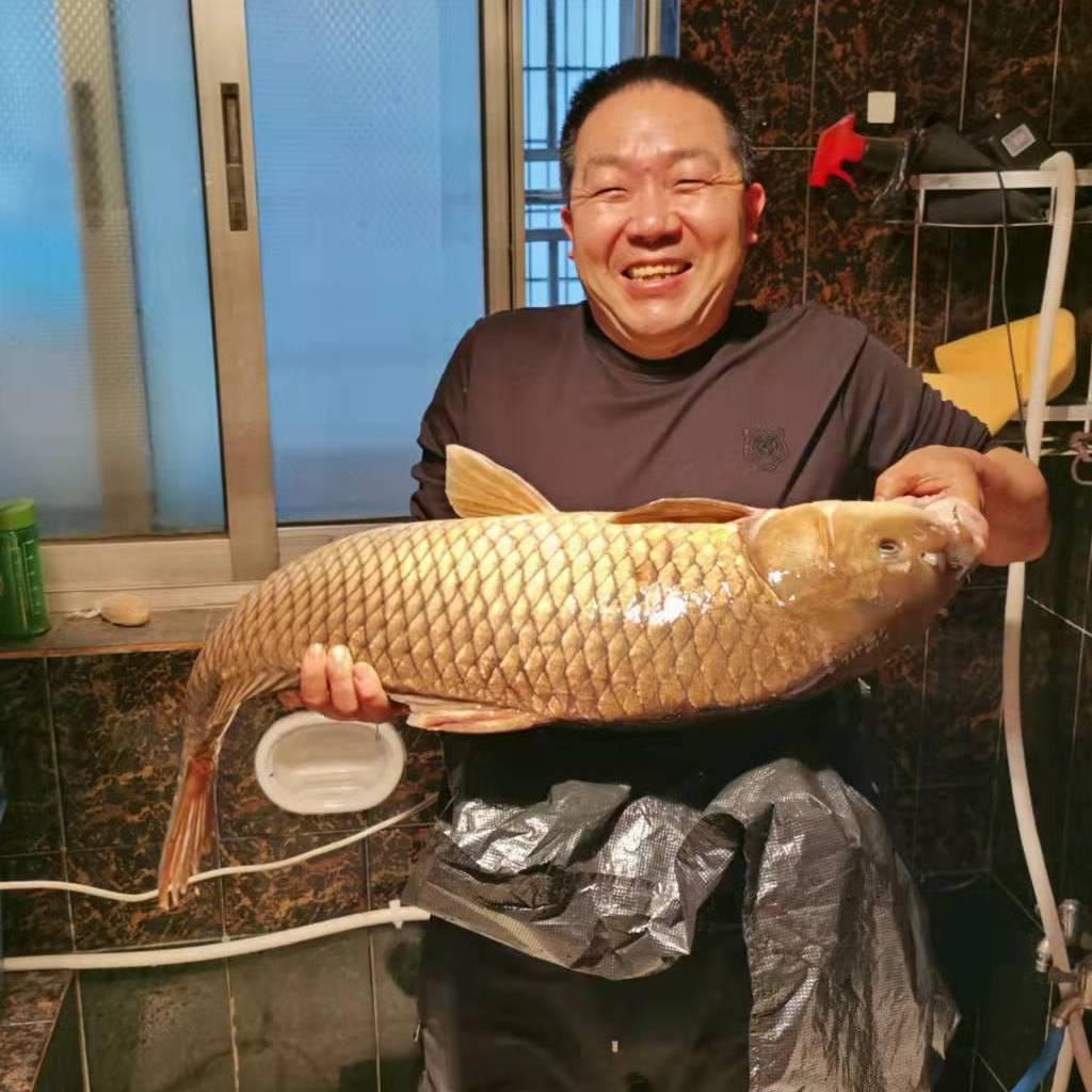 大口鲢