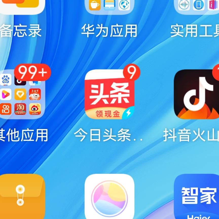 💐东东🌋
