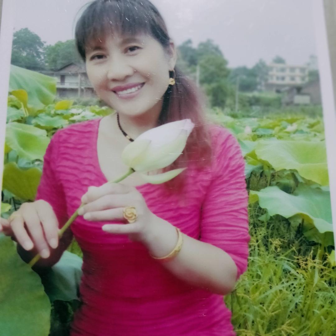 邵东市白云
