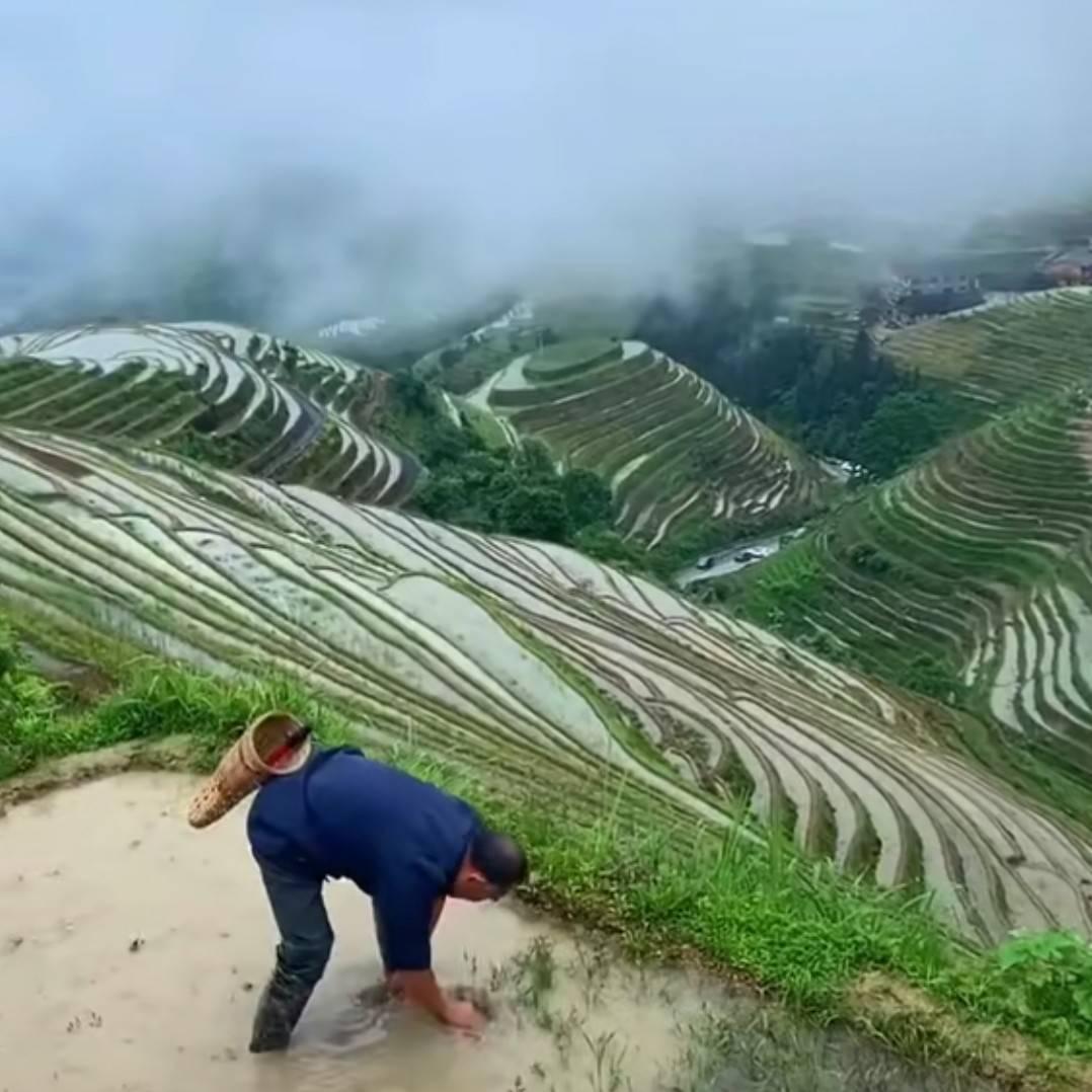 彝家山寨好风光👍