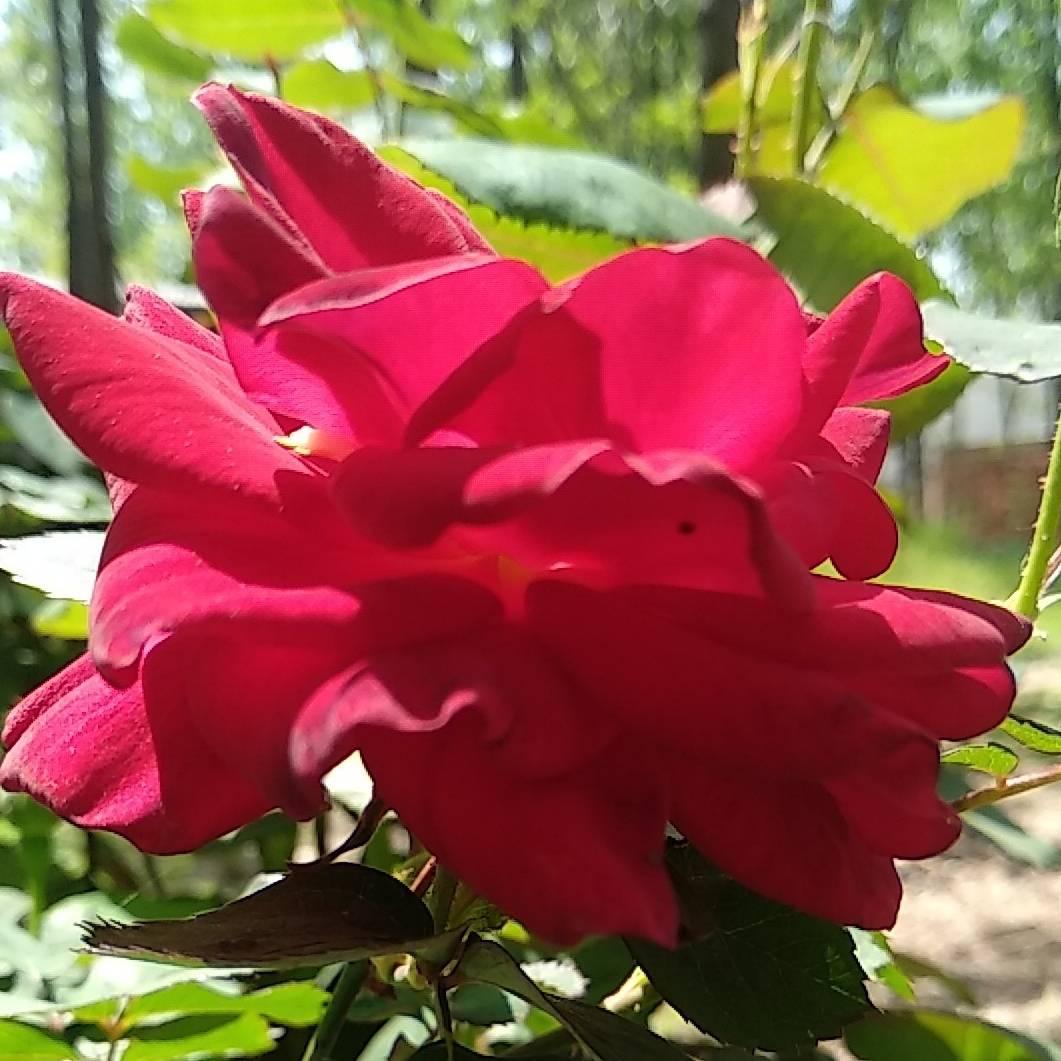 一切皆有可能一切