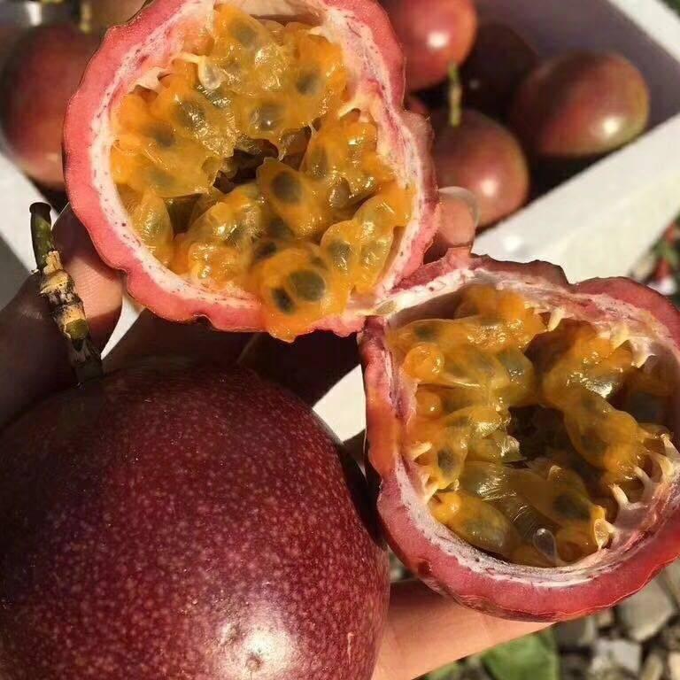 黄小哥