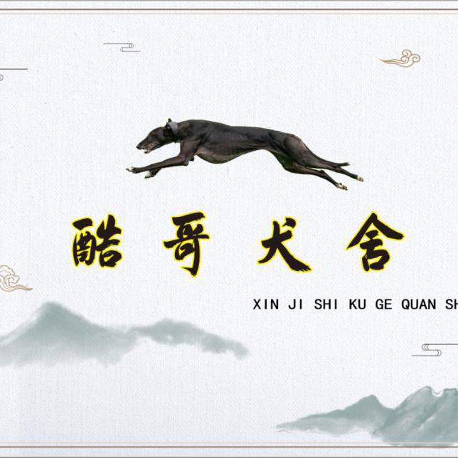 河北   酷哥犬舍《小号》